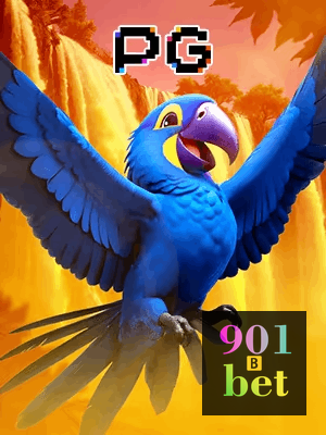 901BET bônus — cashback 15 por cento e níveis VIP
